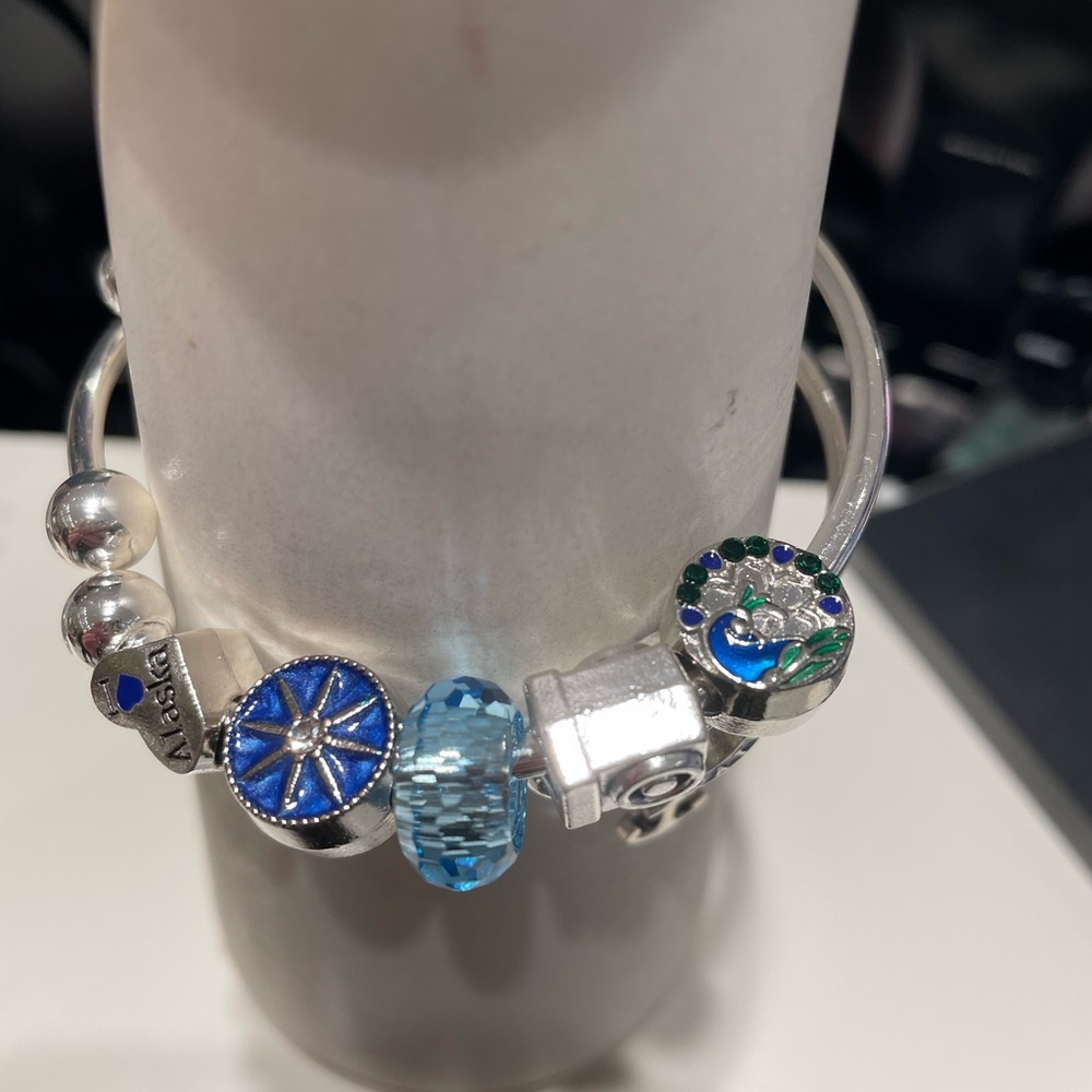 Princess Cruise Line Alaska Charm Bracelet